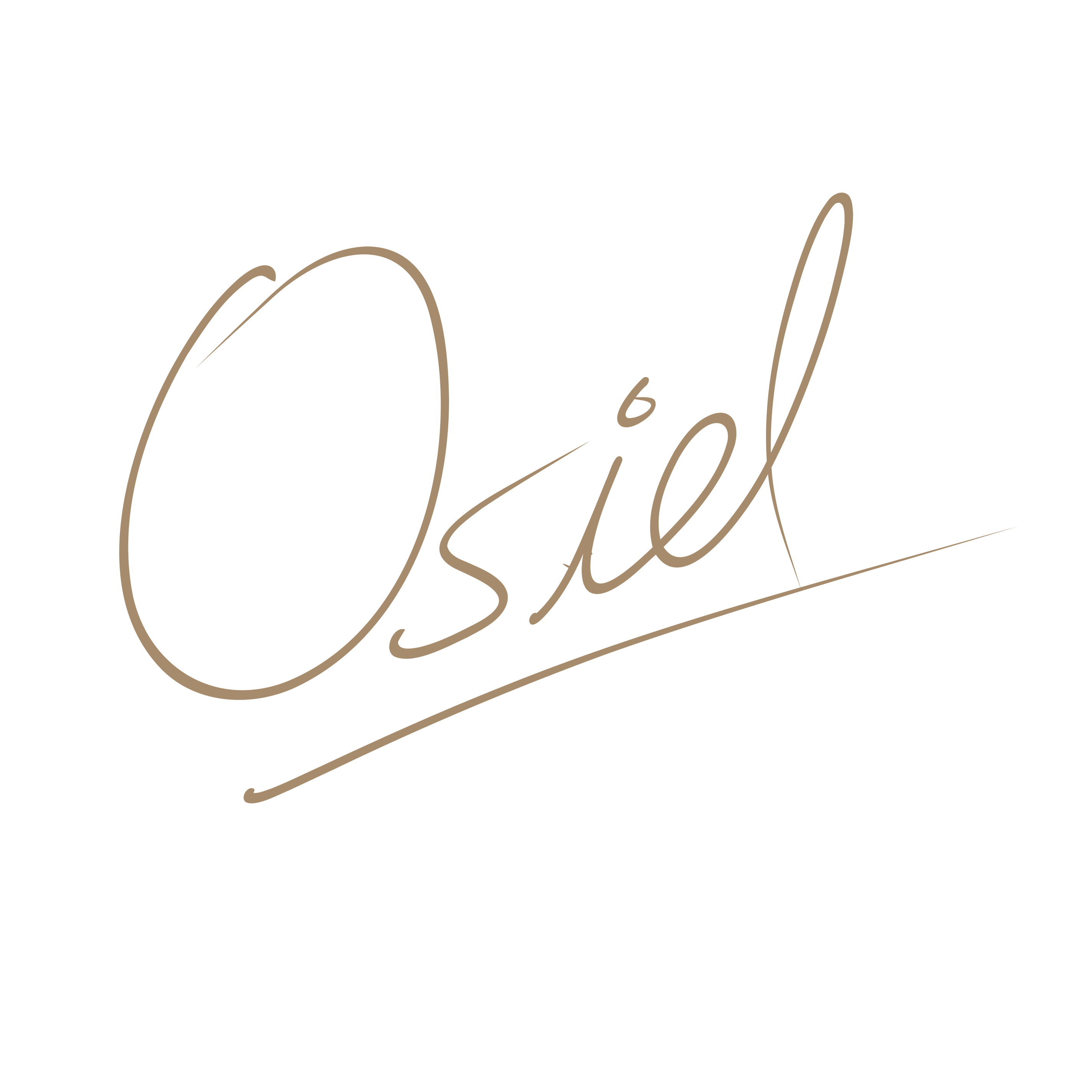 Osiel-r-brica.png